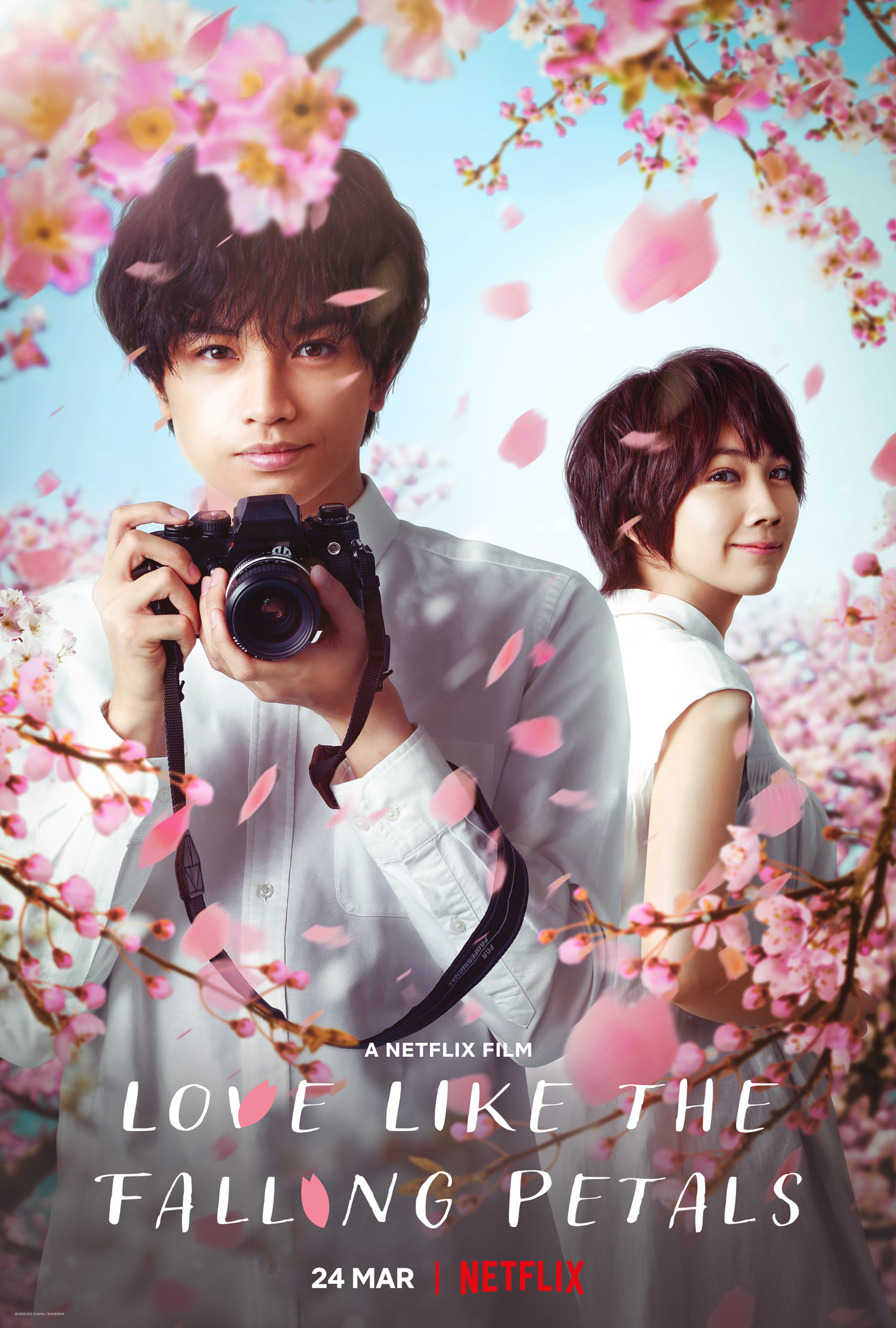 دانلود فیلم Love Like the Falling Petals 2022 با زیرنویس چسبیده