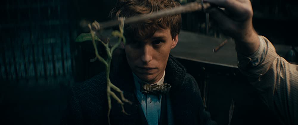 Eddie Redmayne in Fantastic Beasts: The Secrets of Dumbledore (2022)