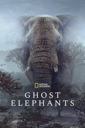 دانلود مستند Ghost Elephants 2025